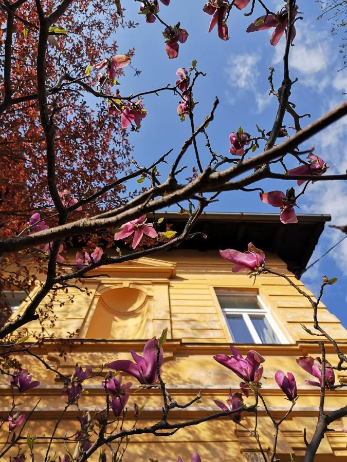 Vila Veselova, Ljubljana City Center Hostel Buitenkant foto